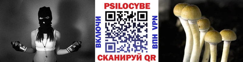Купить где  Белоусово  Псилоцибиновые грибы Psilocybe 